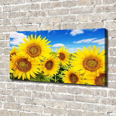 Foto quadro su tela Girasoli