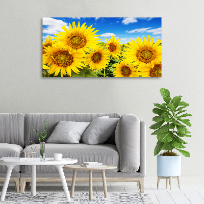 Foto quadro su tela Girasoli