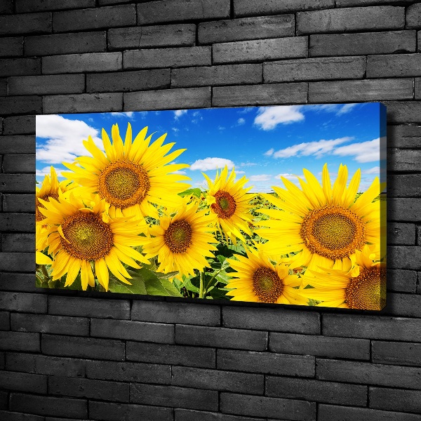 Foto quadro su tela Girasoli