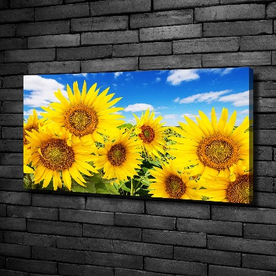 Foto quadro su tela Girasoli