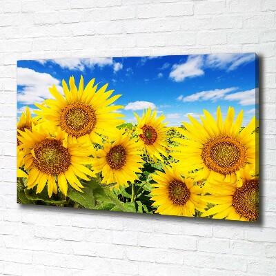 Foto quadro su tela Girasoli