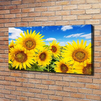 Foto quadro su tela Girasoli