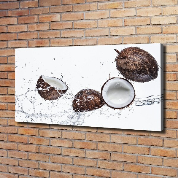 Quadro su tela Cocco con acqua