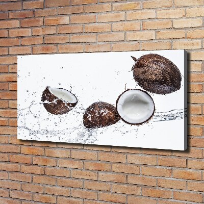 Quadro su tela Cocco con acqua