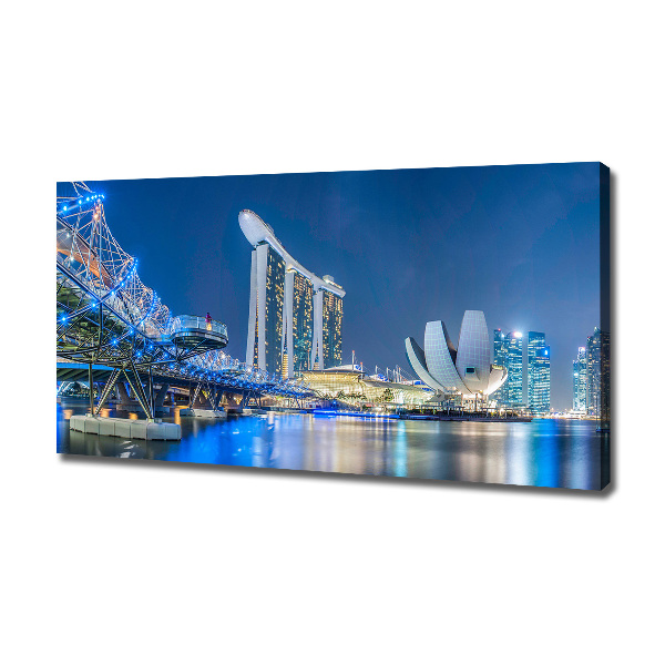 Quadro su tela Singapore di notte