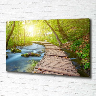 Quadro su tela Sentiero nella foresta