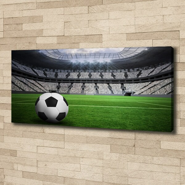 Foto quadro su tela Palla nello stadio