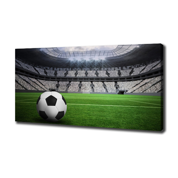 Foto quadro su tela Palla nello stadio