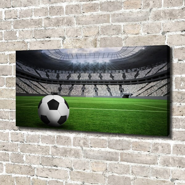 Foto quadro su tela Palla nello stadio