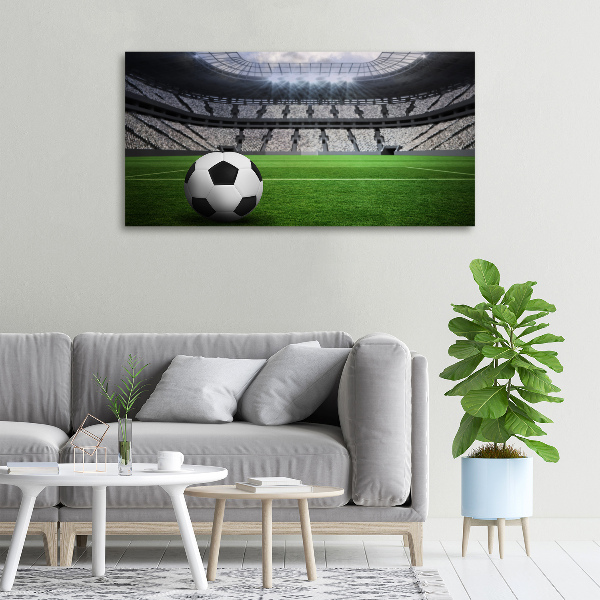 Foto quadro su tela Palla nello stadio