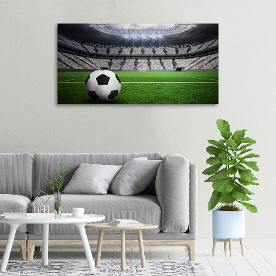 Foto quadro su tela Palla nello stadio