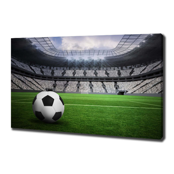 Foto quadro su tela Palla nello stadio