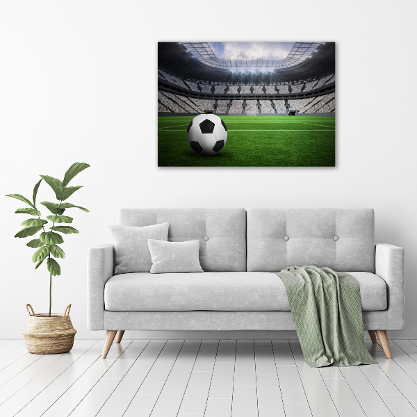 Foto quadro su tela Palla nello stadio