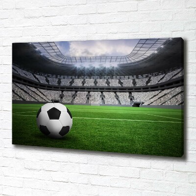 Foto quadro su tela Palla nello stadio