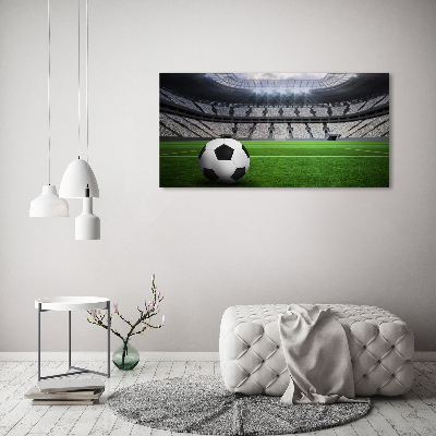 Foto quadro su tela Palla nello stadio