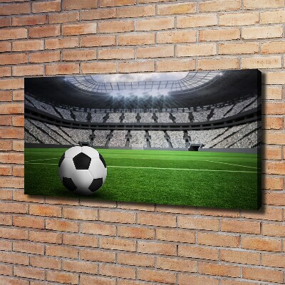 Foto quadro su tela Palla nello stadio