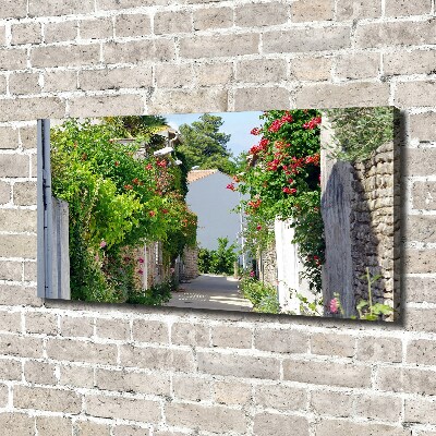 Foto quadro su tela Vicolo corniolo