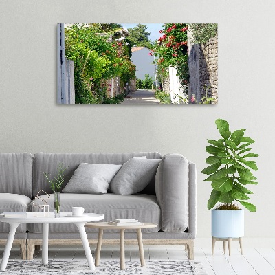 Foto quadro su tela Vicolo corniolo