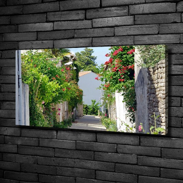 Foto quadro su tela Vicolo corniolo