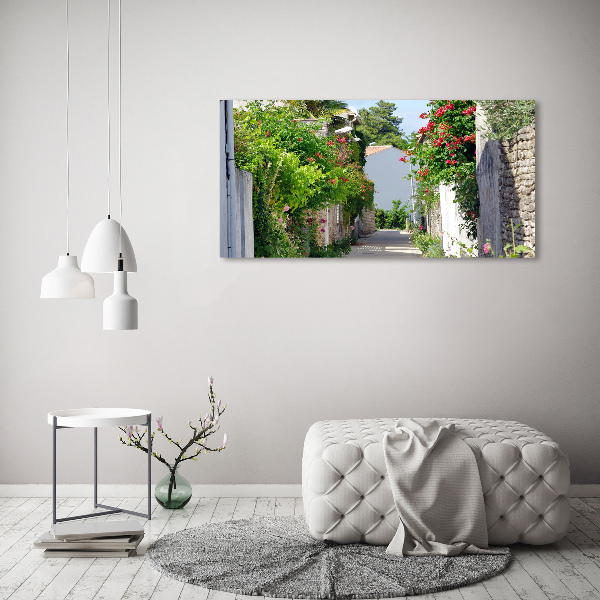 Foto quadro su tela Vicolo corniolo