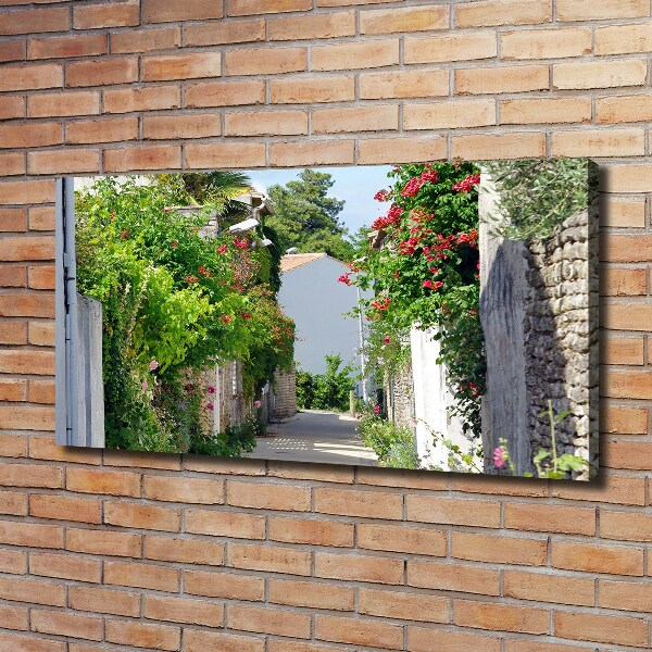 Foto quadro su tela Vicolo corniolo