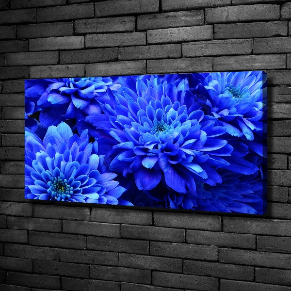 Quadro su tela Aster blu
