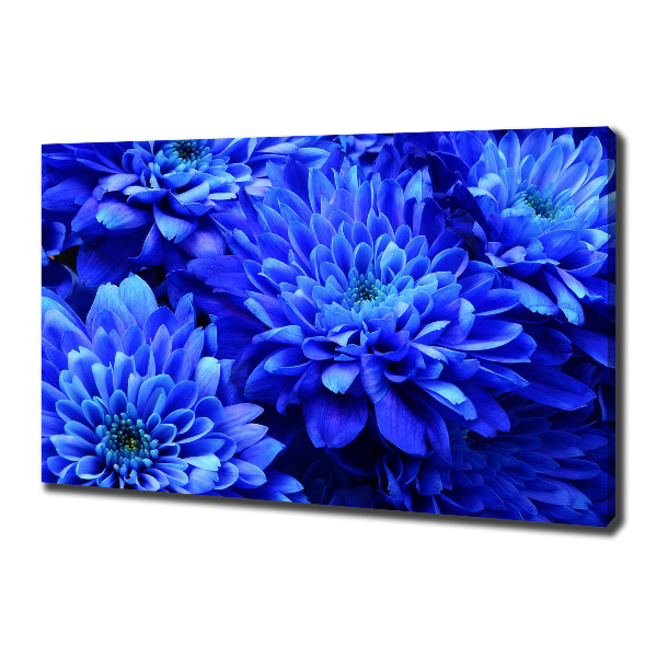 Quadro su tela Aster blu