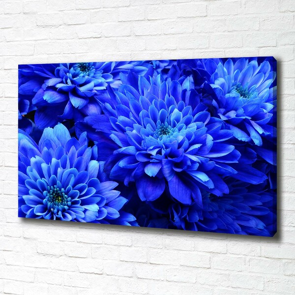 Quadro su tela Aster blu