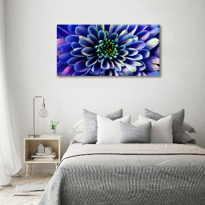 Quadro stampa su tela Aster