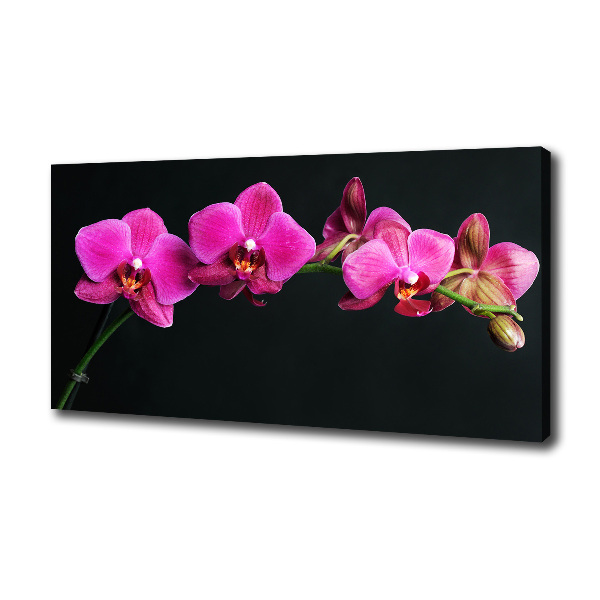 Quadro su tela Orchidea