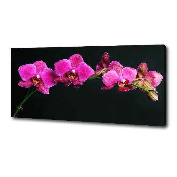 Quadro su tela Orchidea