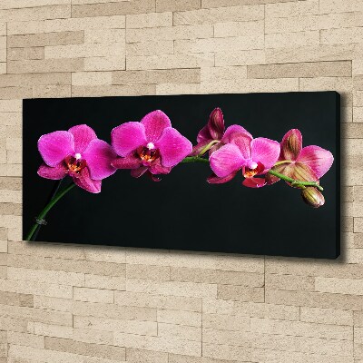 Quadro su tela Orchidea