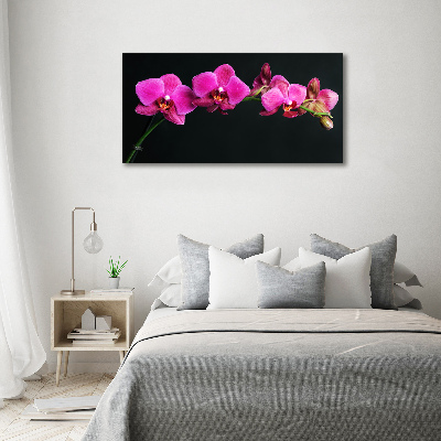 Quadro su tela Orchidea
