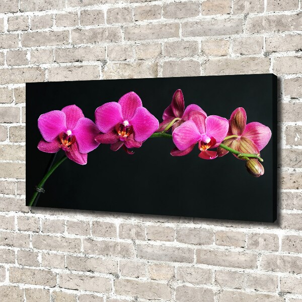 Quadro su tela Orchidea