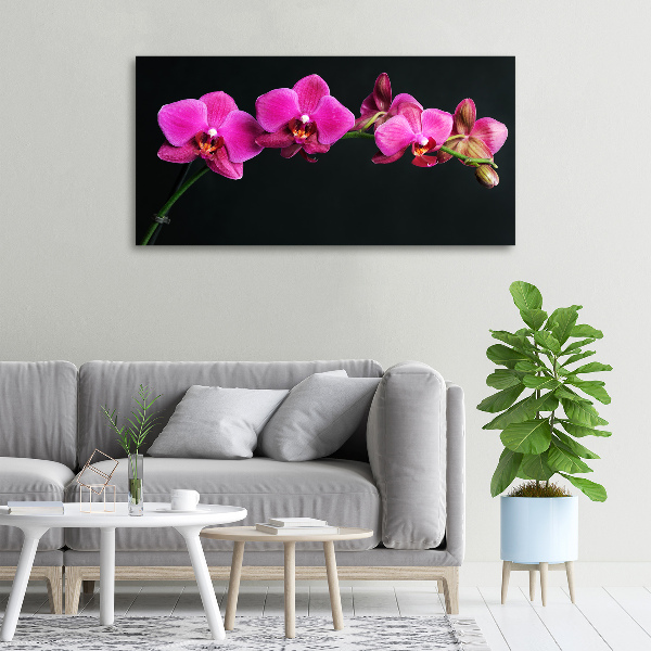 Quadro su tela Orchidea