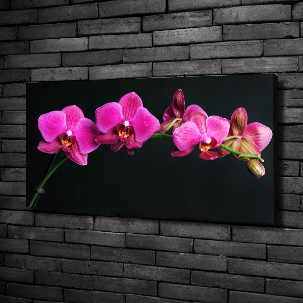 Quadro su tela Orchidea