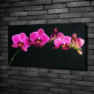 Quadro su tela Orchidea