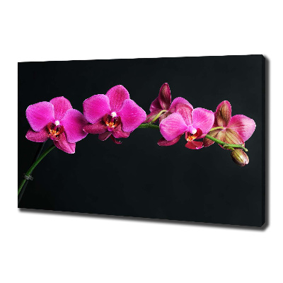 Quadro su tela Orchidea