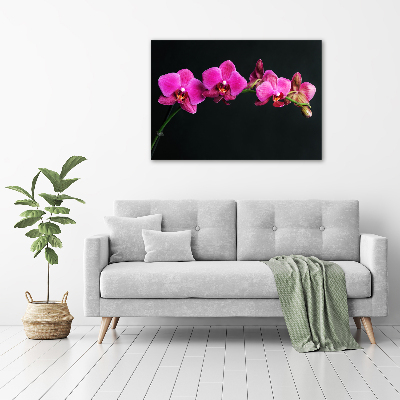 Quadro su tela Orchidea