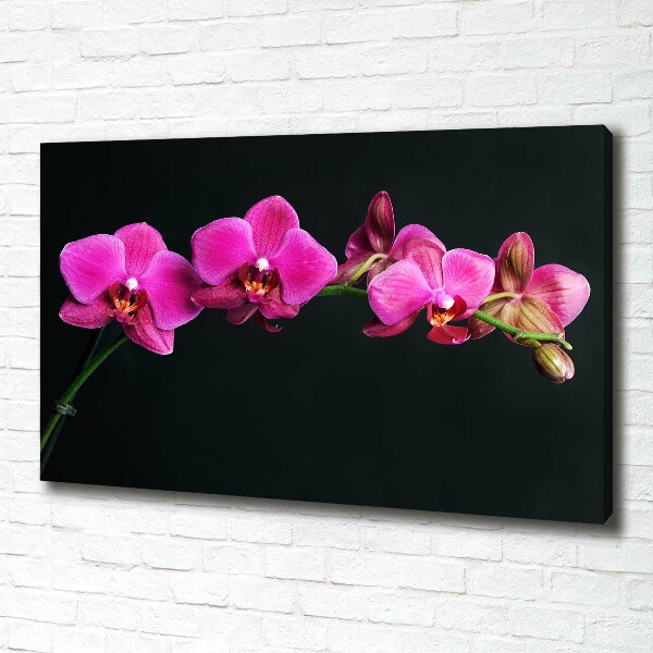 Quadro su tela Orchidea