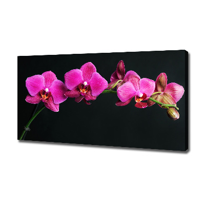 Quadro su tela Orchidea
