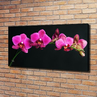 Quadro su tela Orchidea