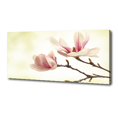 Foto quadro su tela Magnolia