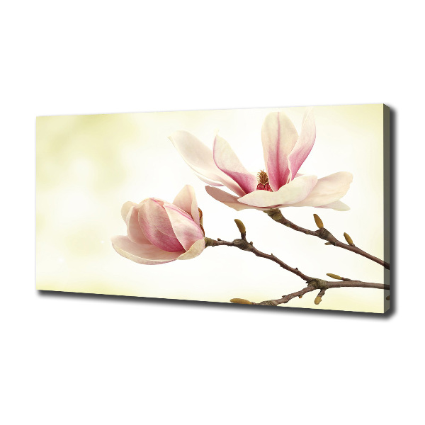 Foto quadro su tela Magnolia