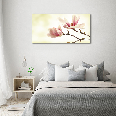 Foto quadro su tela Magnolia