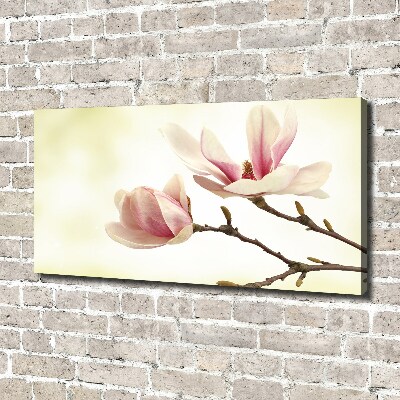 Foto quadro su tela Magnolia