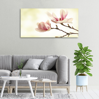 Foto quadro su tela Magnolia
