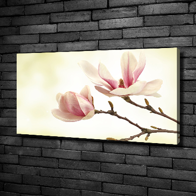Foto quadro su tela Magnolia
