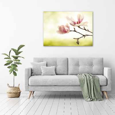 Foto quadro su tela Magnolia