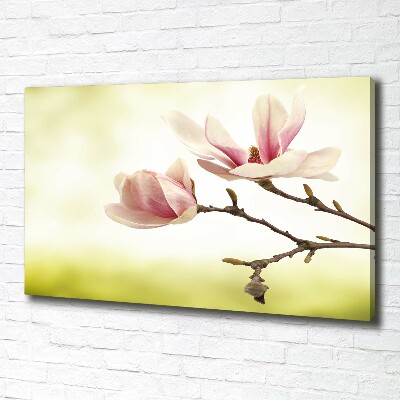 Foto quadro su tela Magnolia